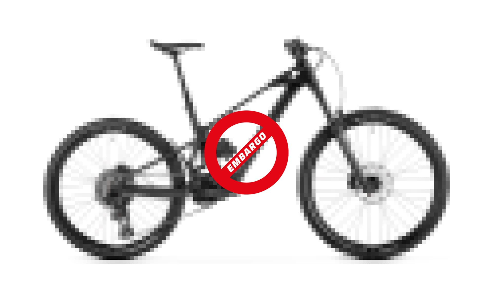 Mondraker Zendit S Mullet — detail view 5