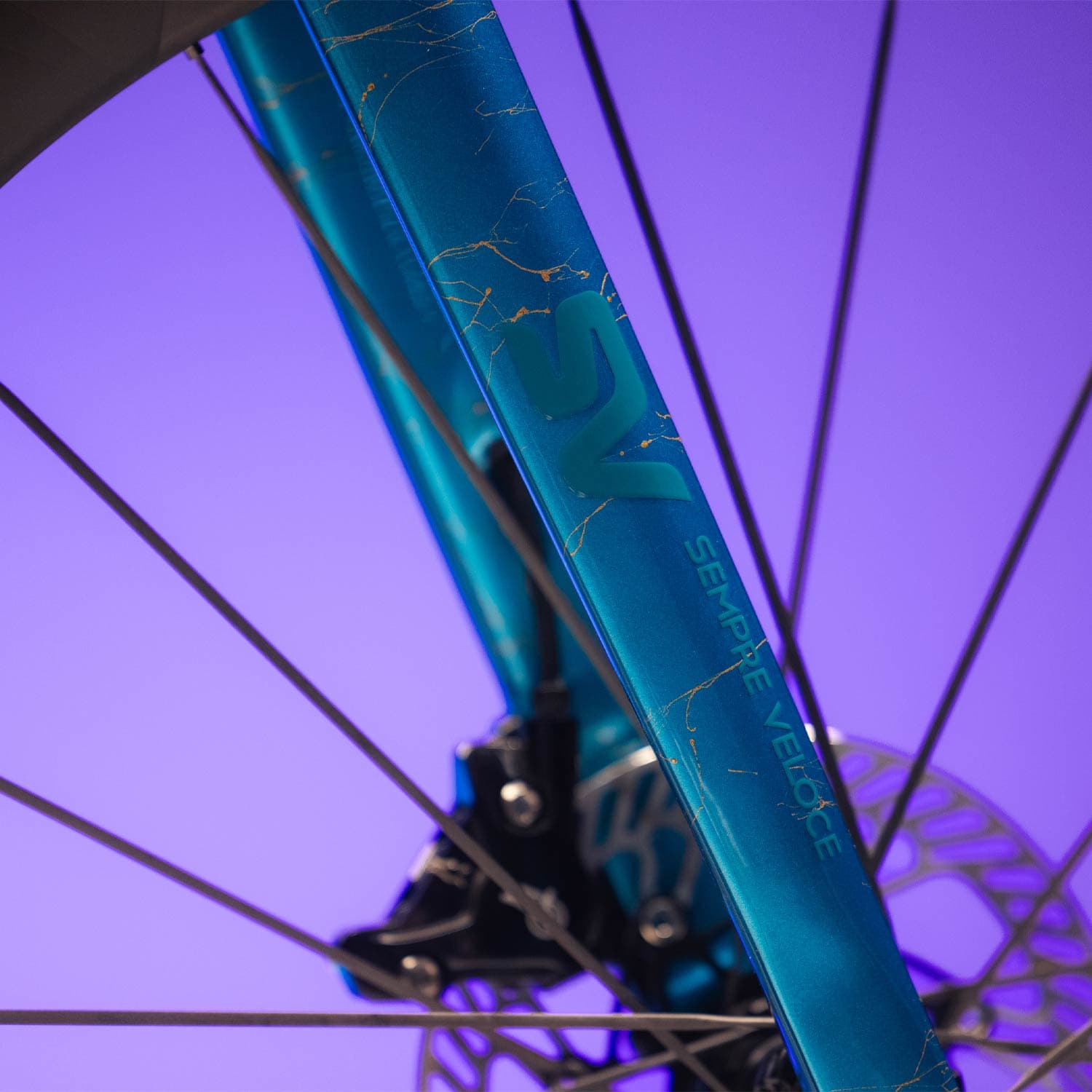 Basso Sv Supernova — detail view 3