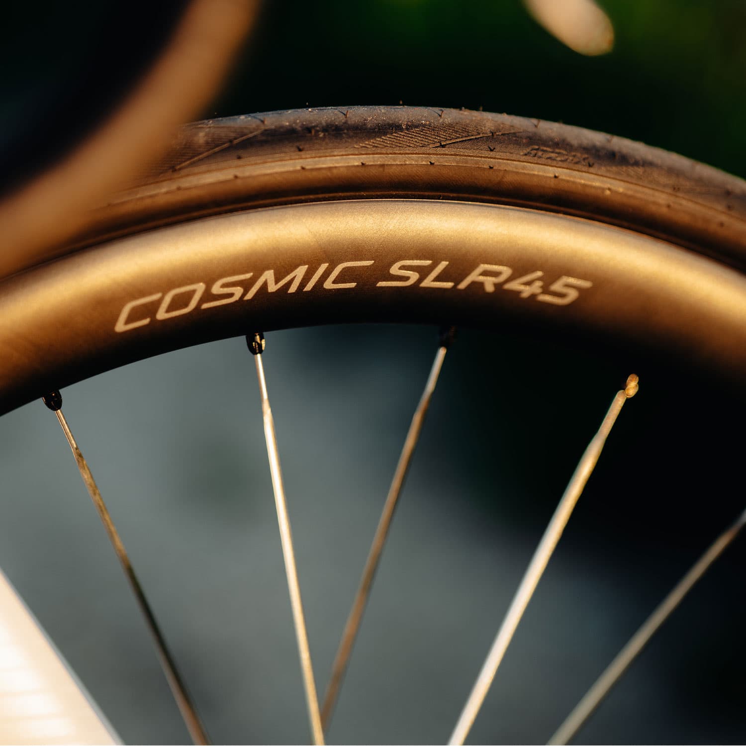 Mavic Cosmic Slr 45 Silver Ceramic Disc — detail view 5