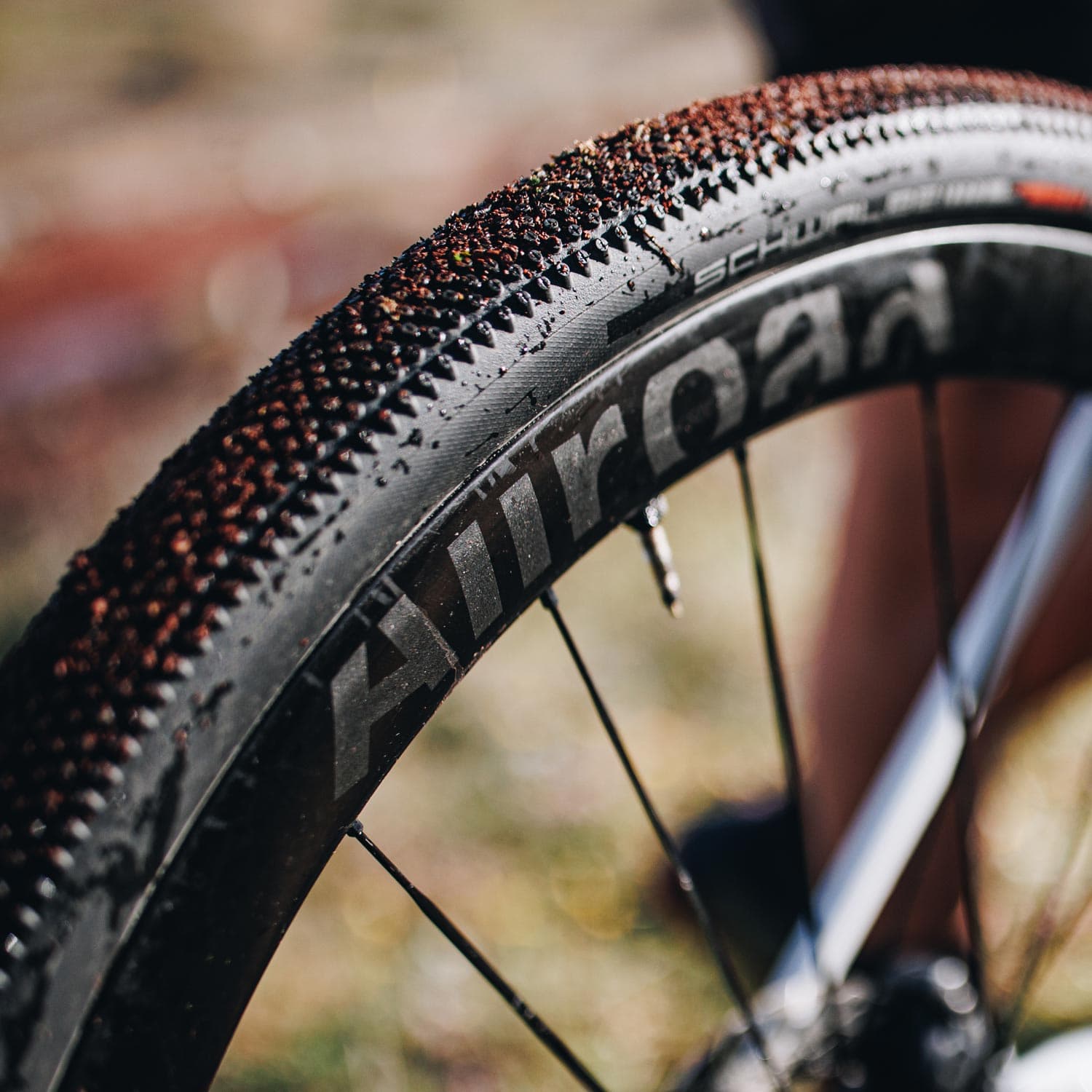 Mavic Allroad Sl Carbon Disc Centre Lock — detail view 8