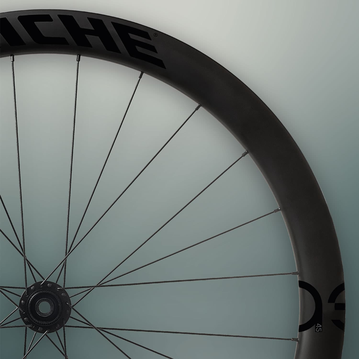 Miche Asfalto 45 Disc Wheels — detail view 5