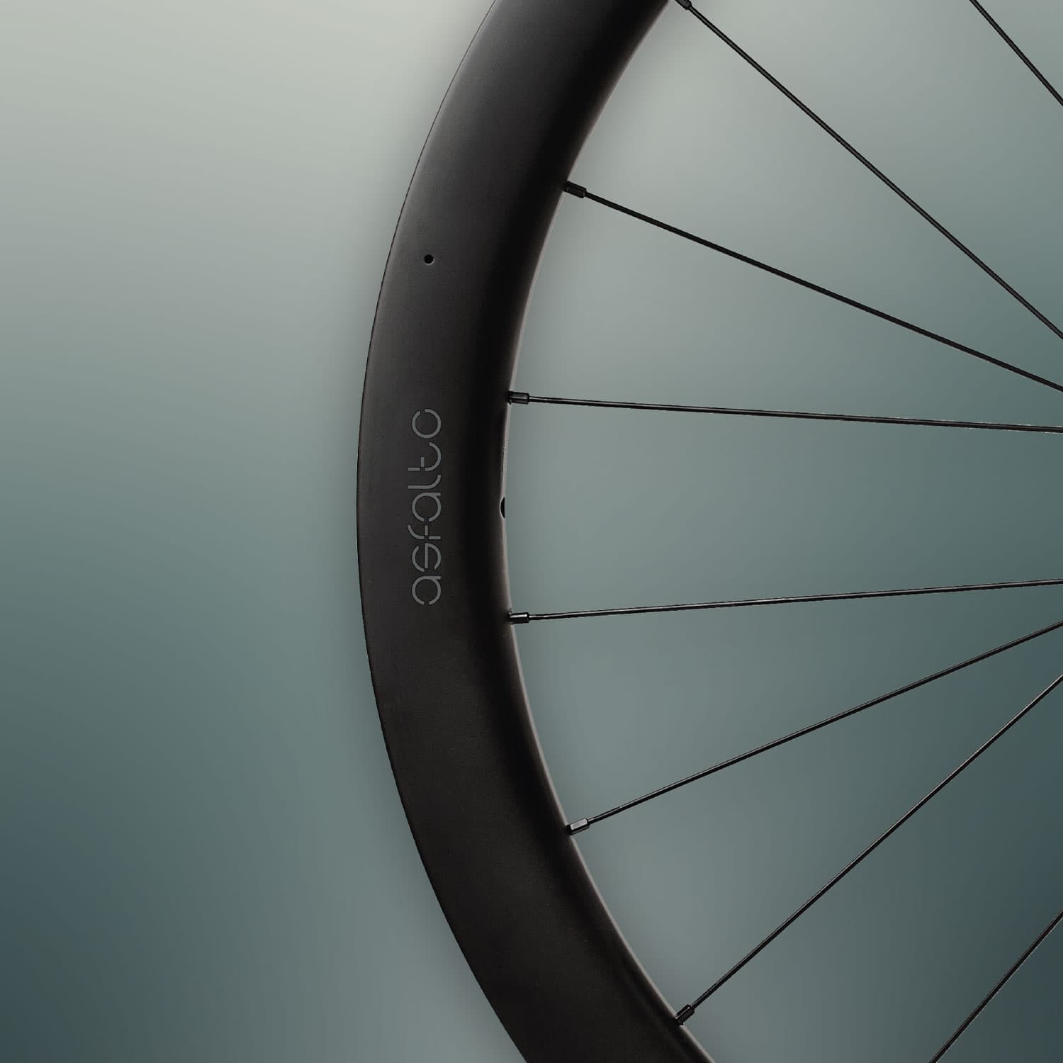 Miche Asfalto 45 Disc Wheels — detail view 6