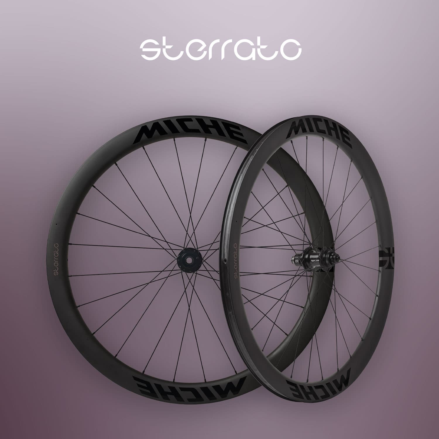 Miche Sterrato 45 Disc Wheels — detail view 4