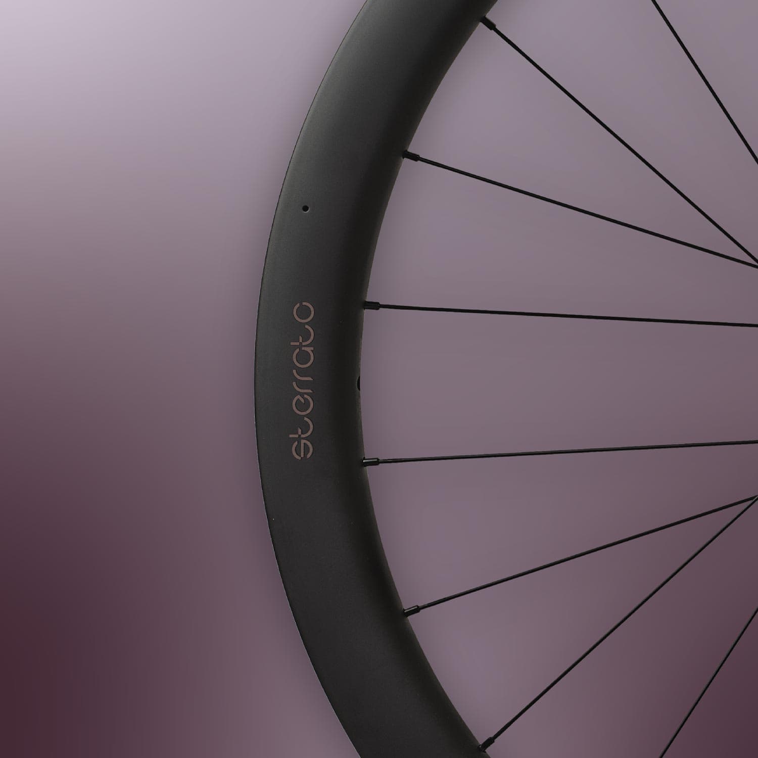 Miche Sterrato 45 Disc Wheels — detail view 6