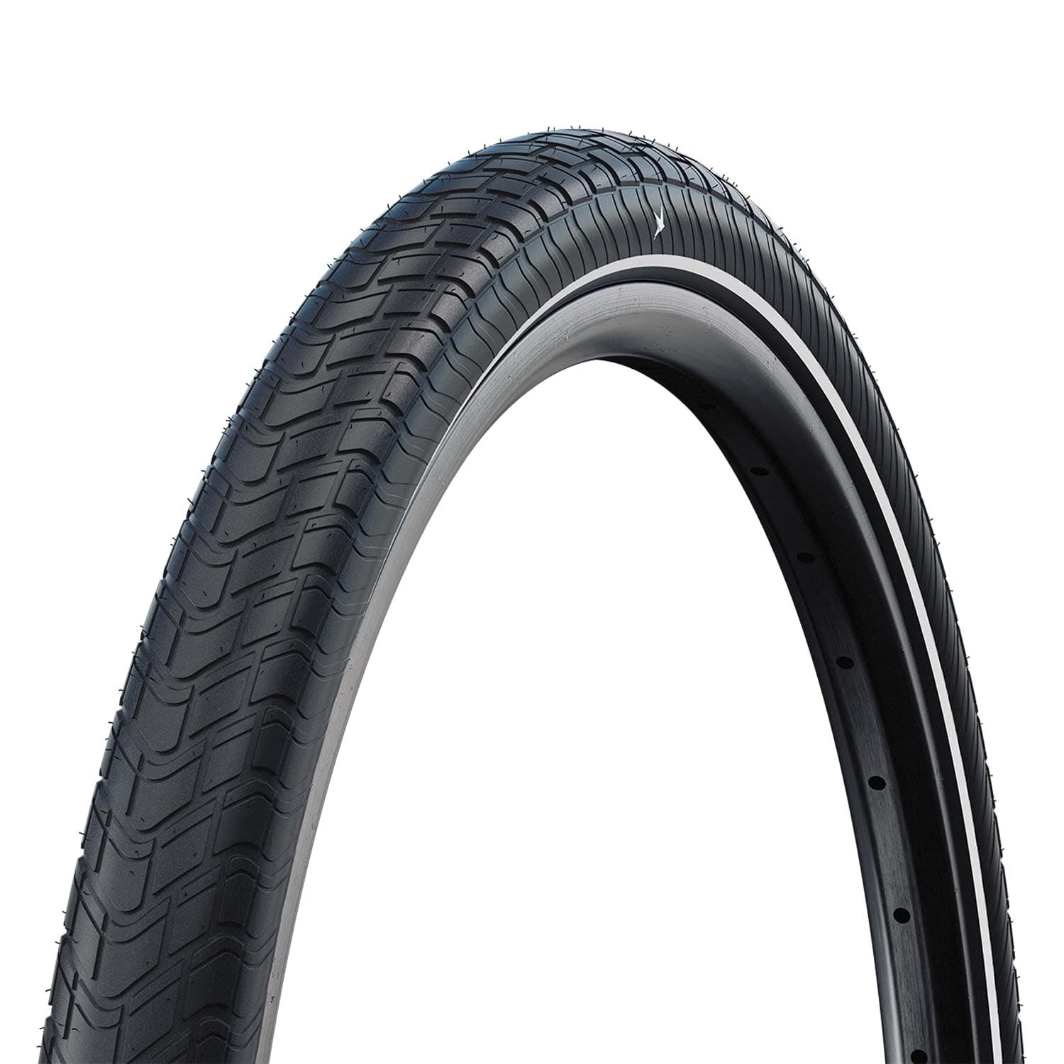 Schwalbe Motion Big Apple Raceguard — detail view 5