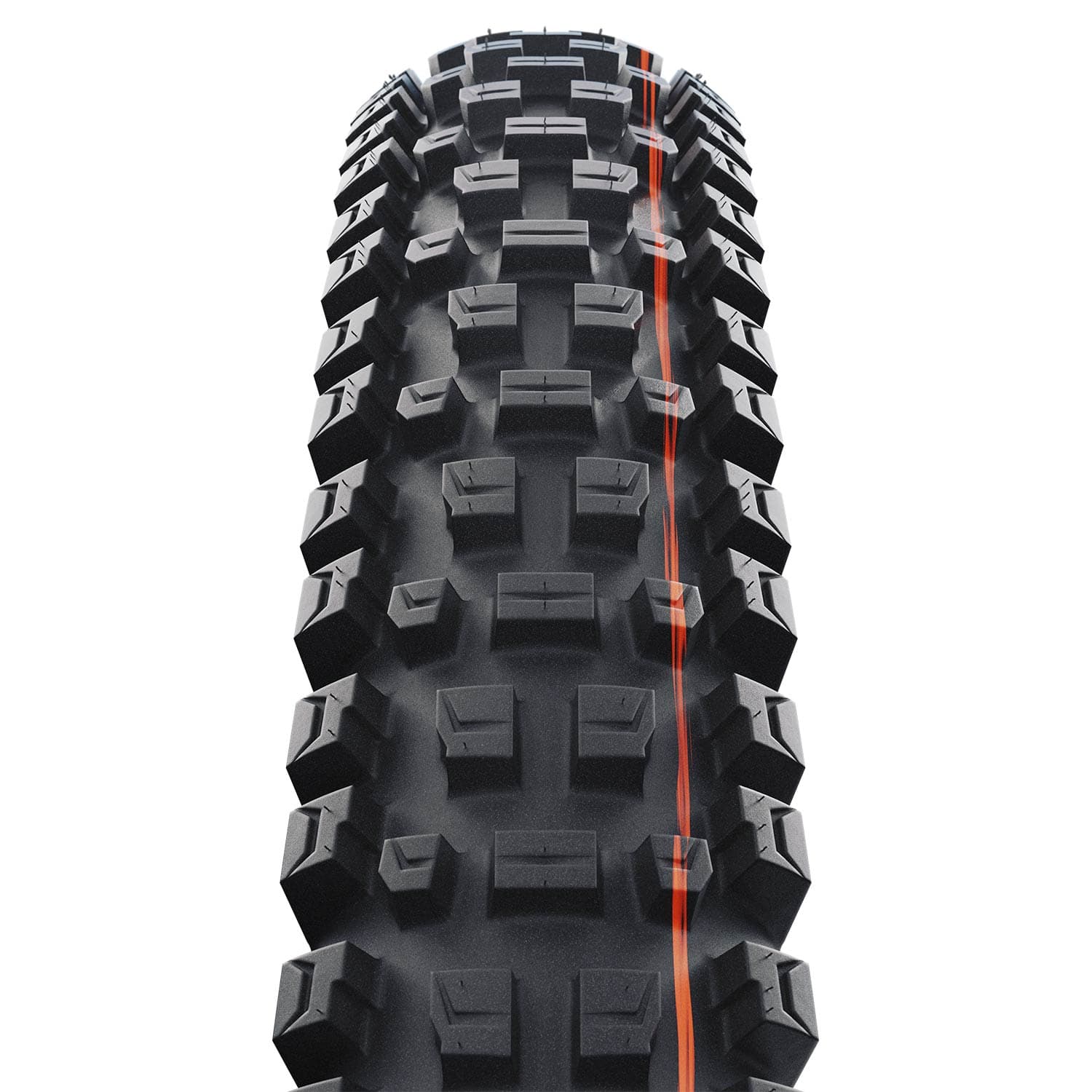 Schwalbe Albert Gravity Pro Radial Soft Tlr Folding — detail view 2