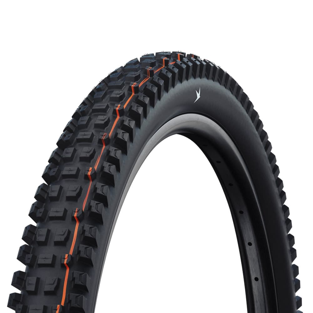 Schwalbe Albert Radial Trail Pro Folding Tle — detail view 5