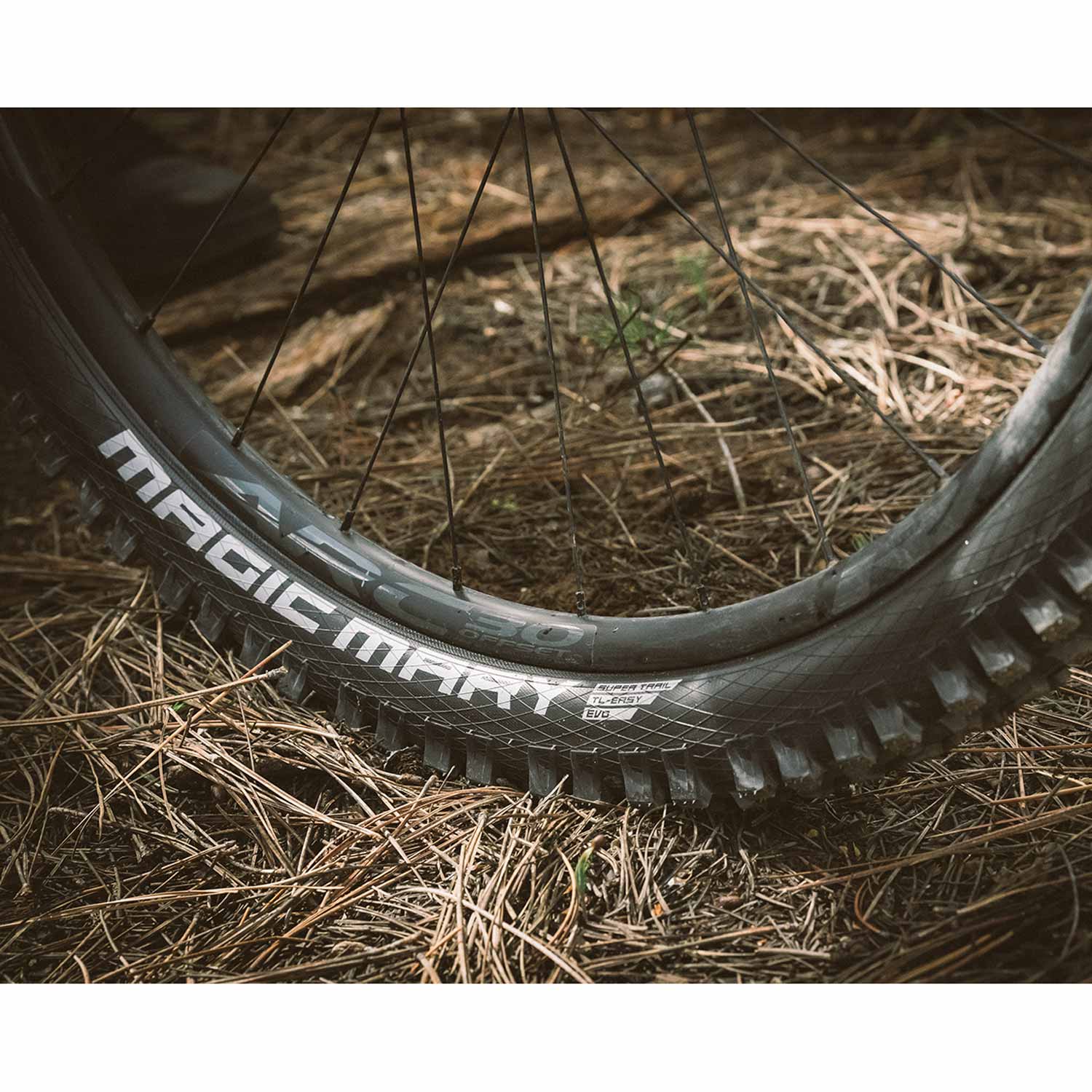 Schwalbe Magic Mary Radial Tle Folding — detail view 5