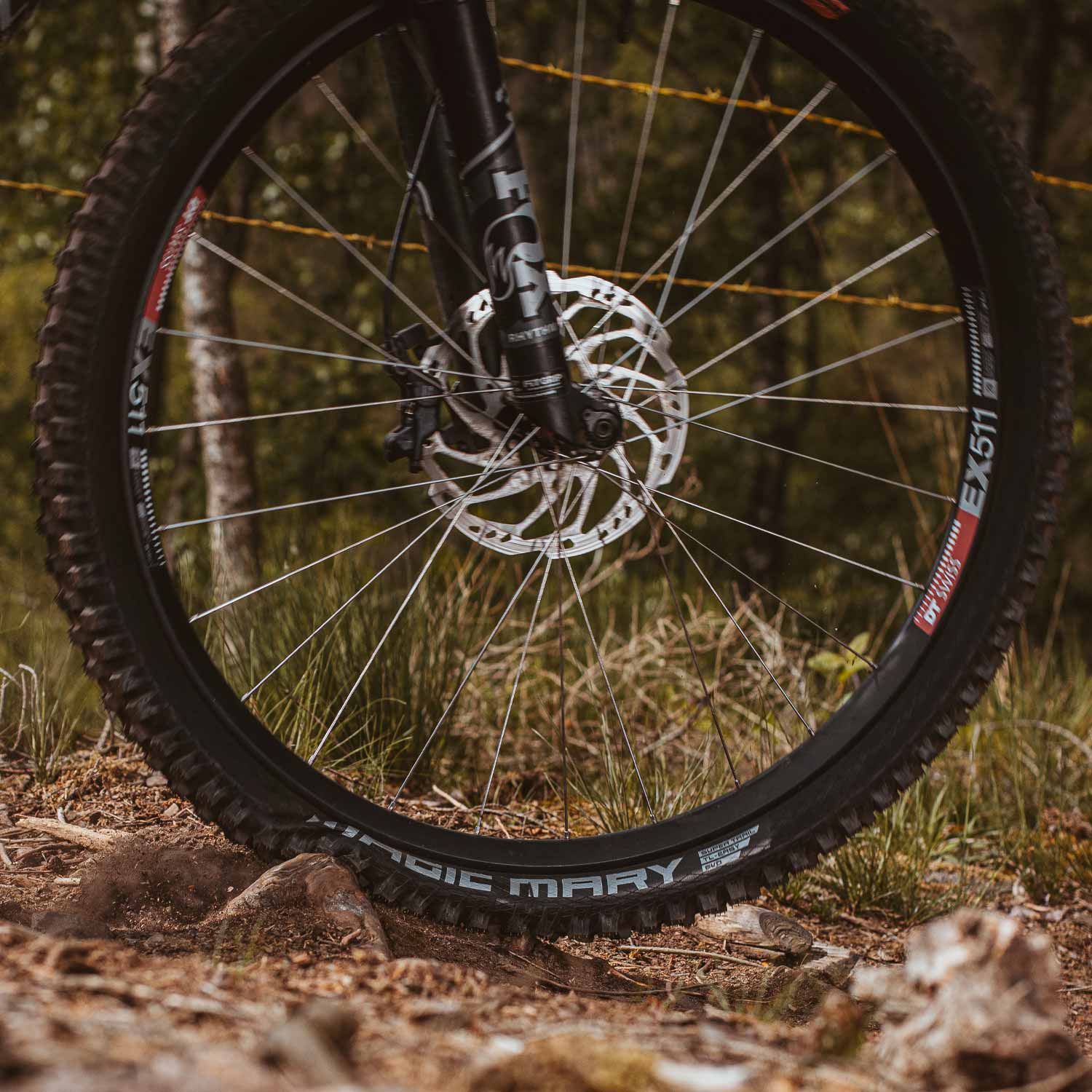 Schwalbe Magic Mary Radial Tle Folding — detail view 6
