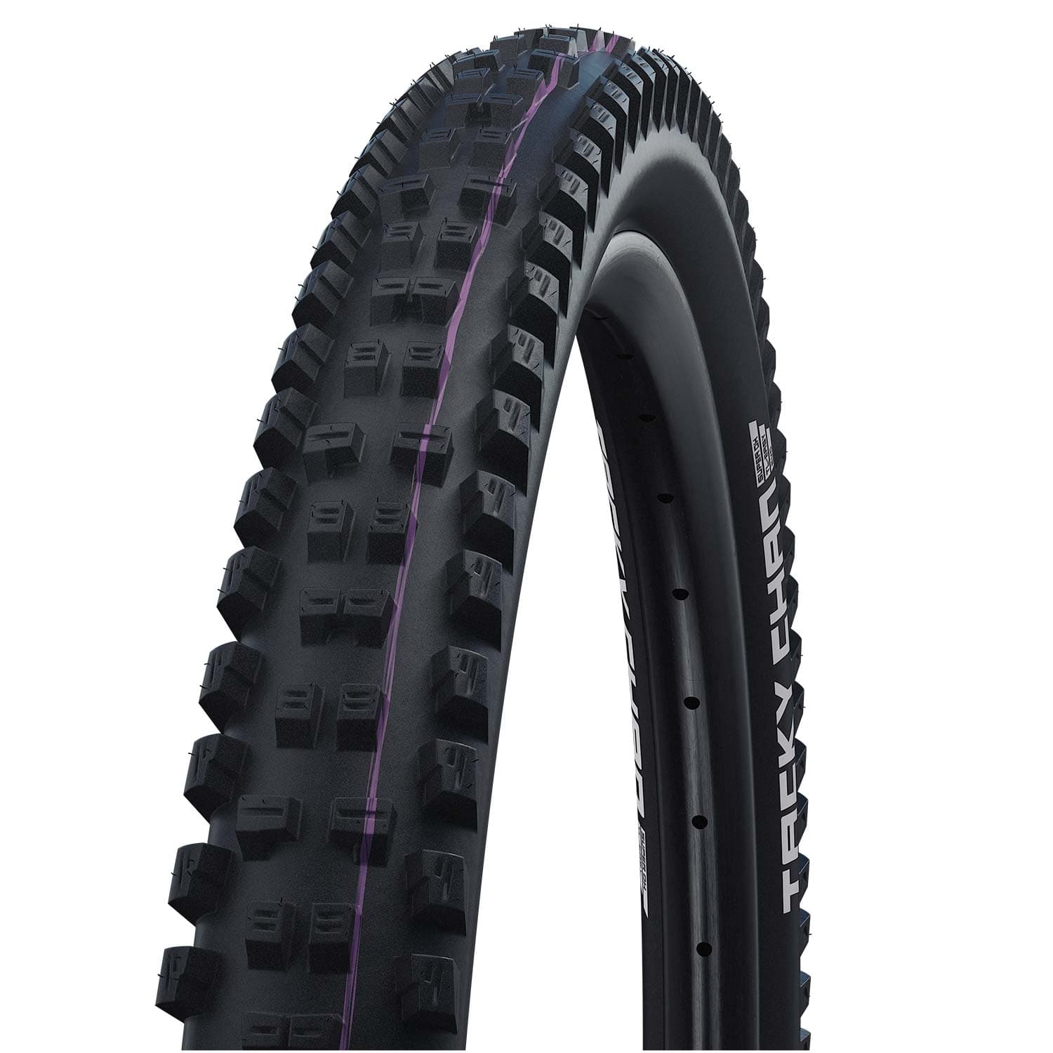Schwalbe Tacky Chan Evo Super Ground Folding Tle — detail view 4