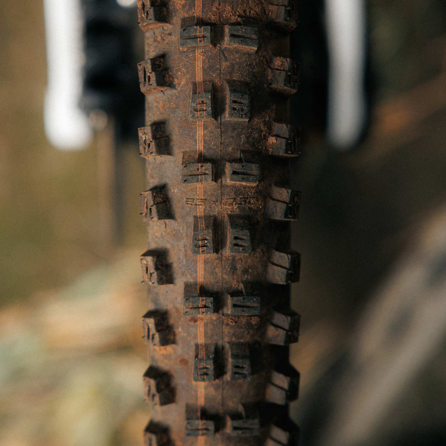 Schwalbe Tacky Chan Trail Pro Folding Tlr — detail view 3