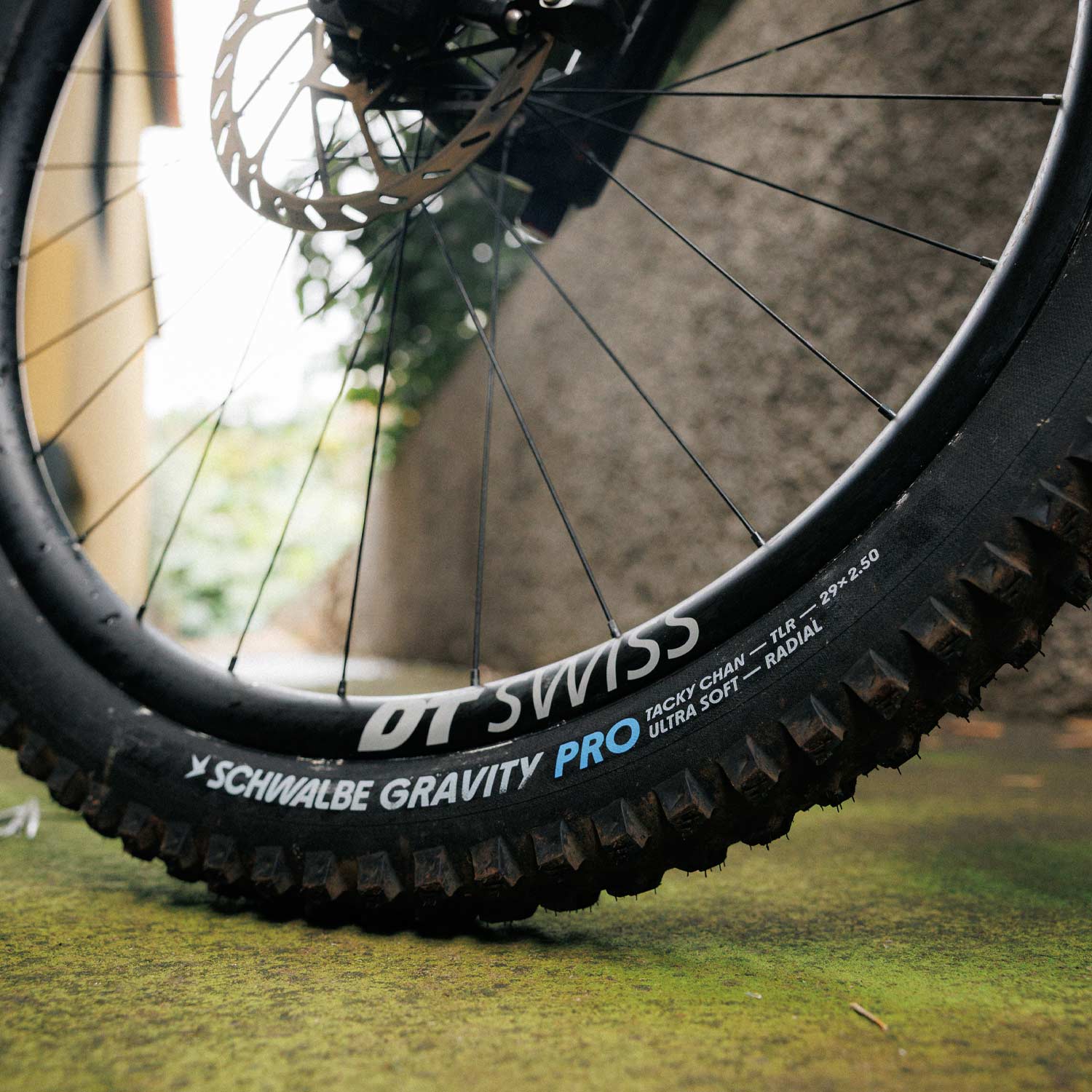 Schwalbe Tacky Chan Trail Pro Folding Tlr — detail view 4