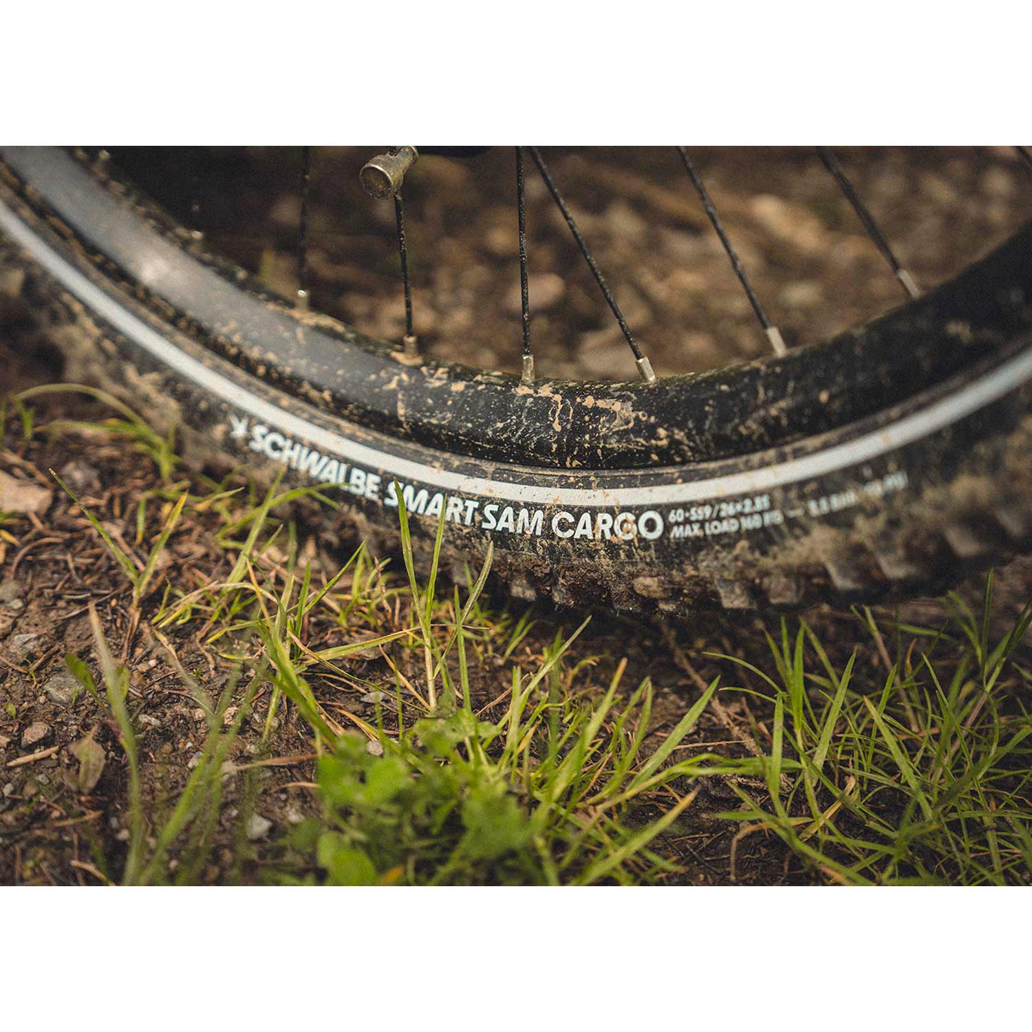 Schwalbe Smart Sam Cargo Super Defence — detail view 7