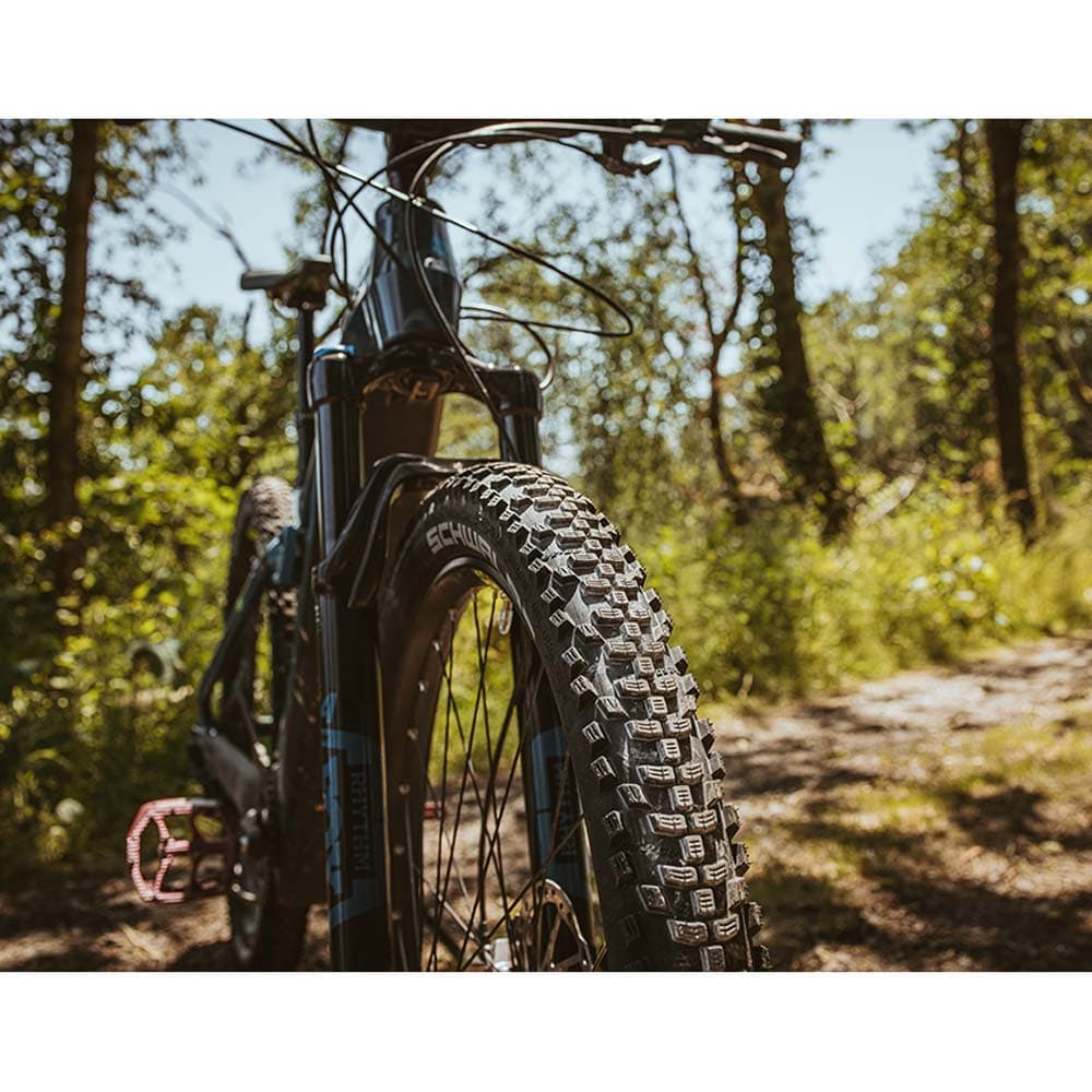 Schwalbe Smart Sam Plus Dd Greenguard — detail view 7