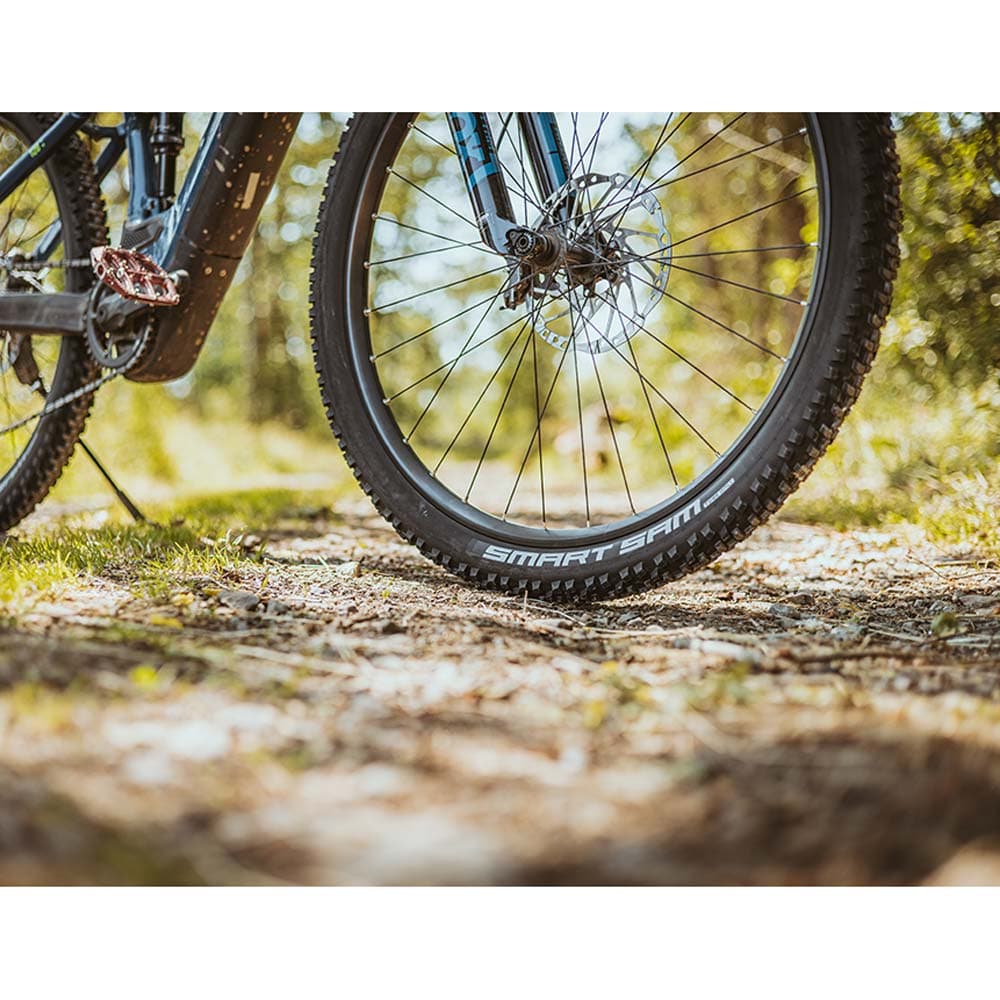 Schwalbe Smart Sam Plus Dd Greenguard — detail view 8