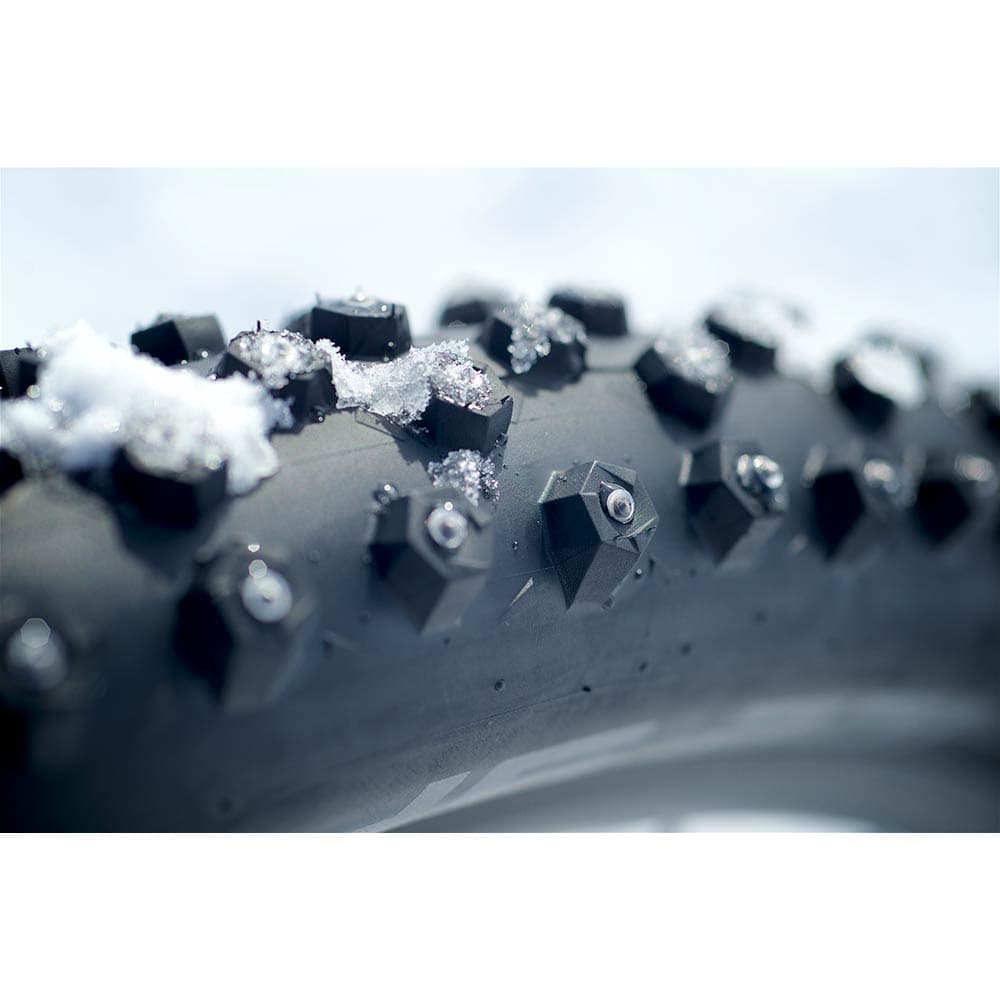 Schwalbe Ice Spiker Pro Raceguard — detail view 3