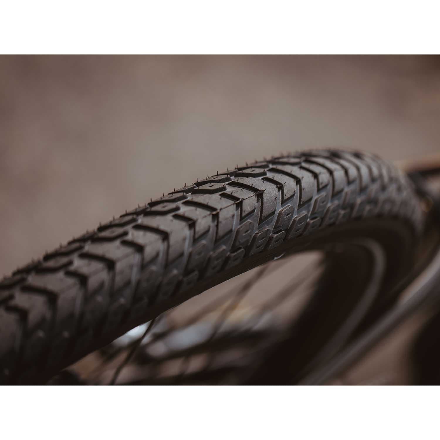 Schwalbe Marathon Mondial Raceguard — detail view 3