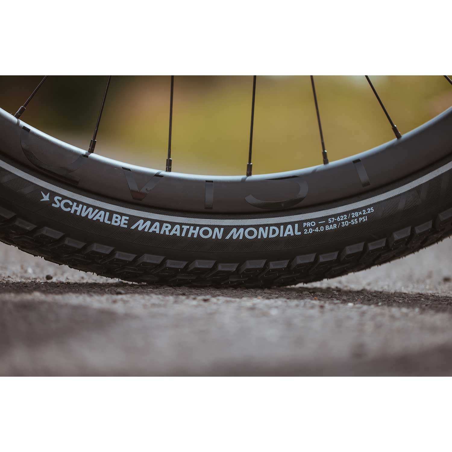 Schwalbe Marathon Mondial Raceguard — detail view 4