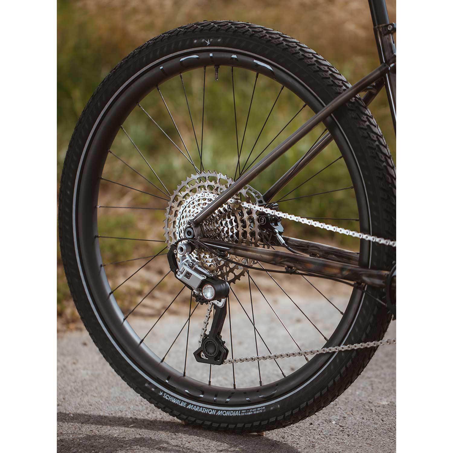 Schwalbe Marathon Mondial Raceguard — detail view 5
