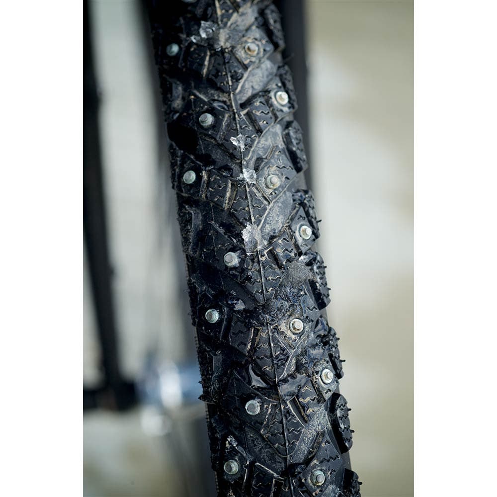 Schwalbe Marathon Winter Raceguard — detail view 4