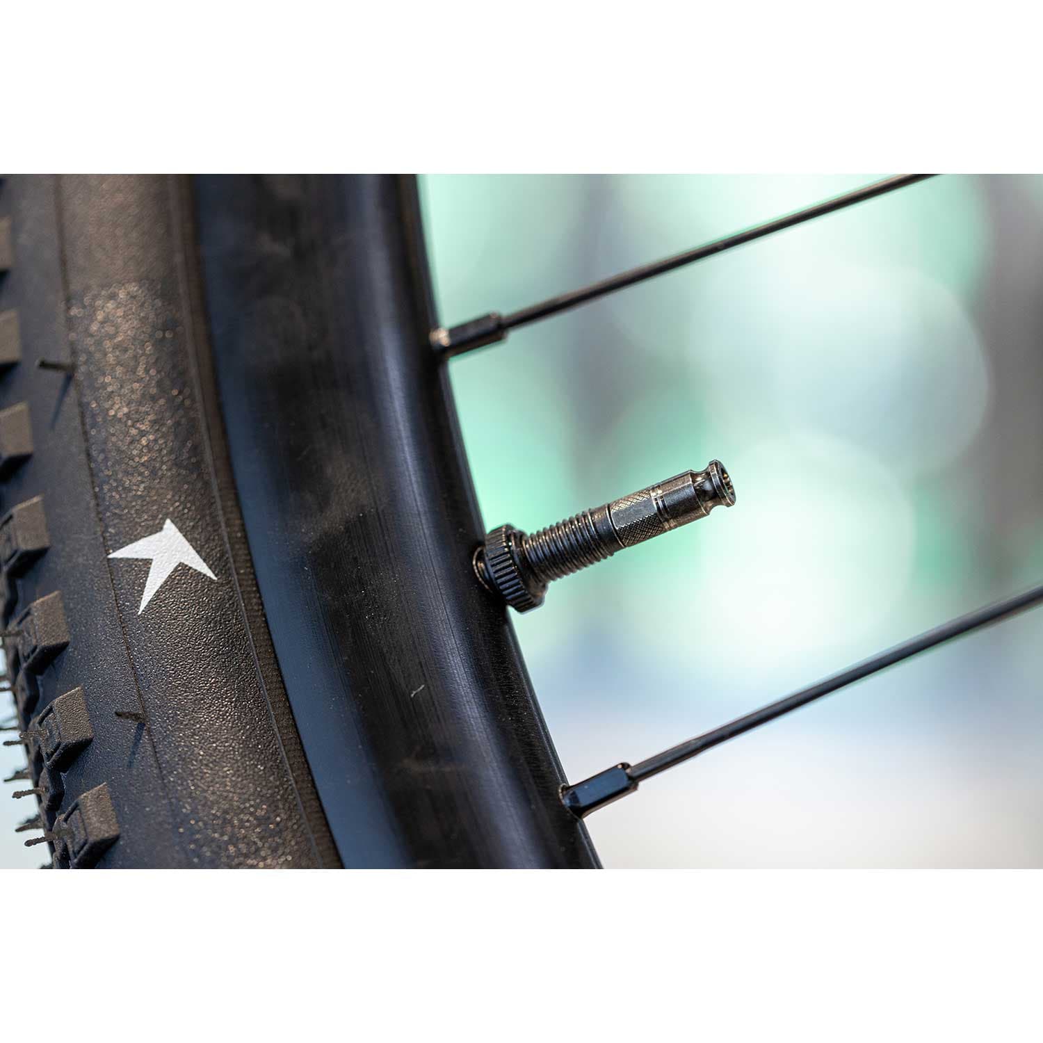 Schwalbe Clik Tubeless Valves — detail view 4