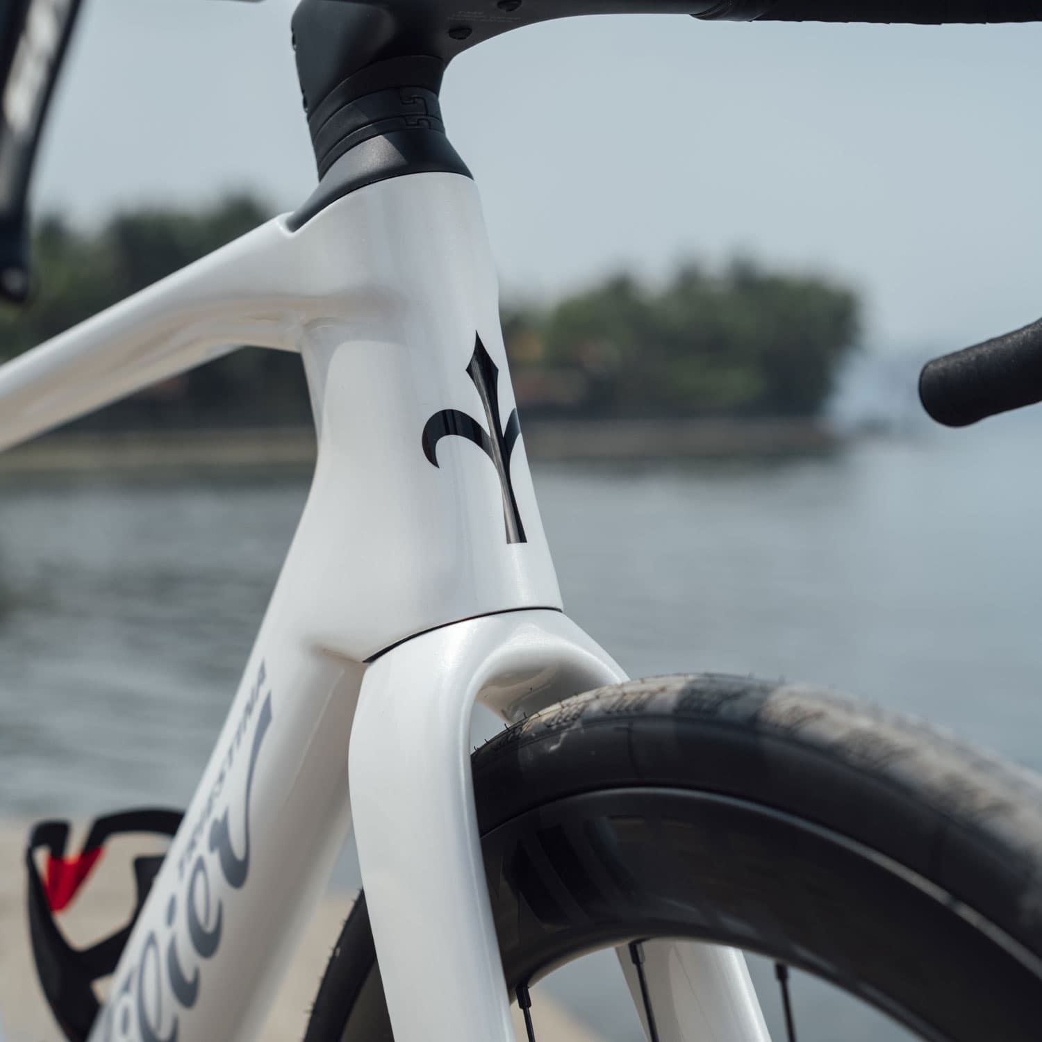 Wilier Rapida Ultegra Di2 Weekend White — detail view 5