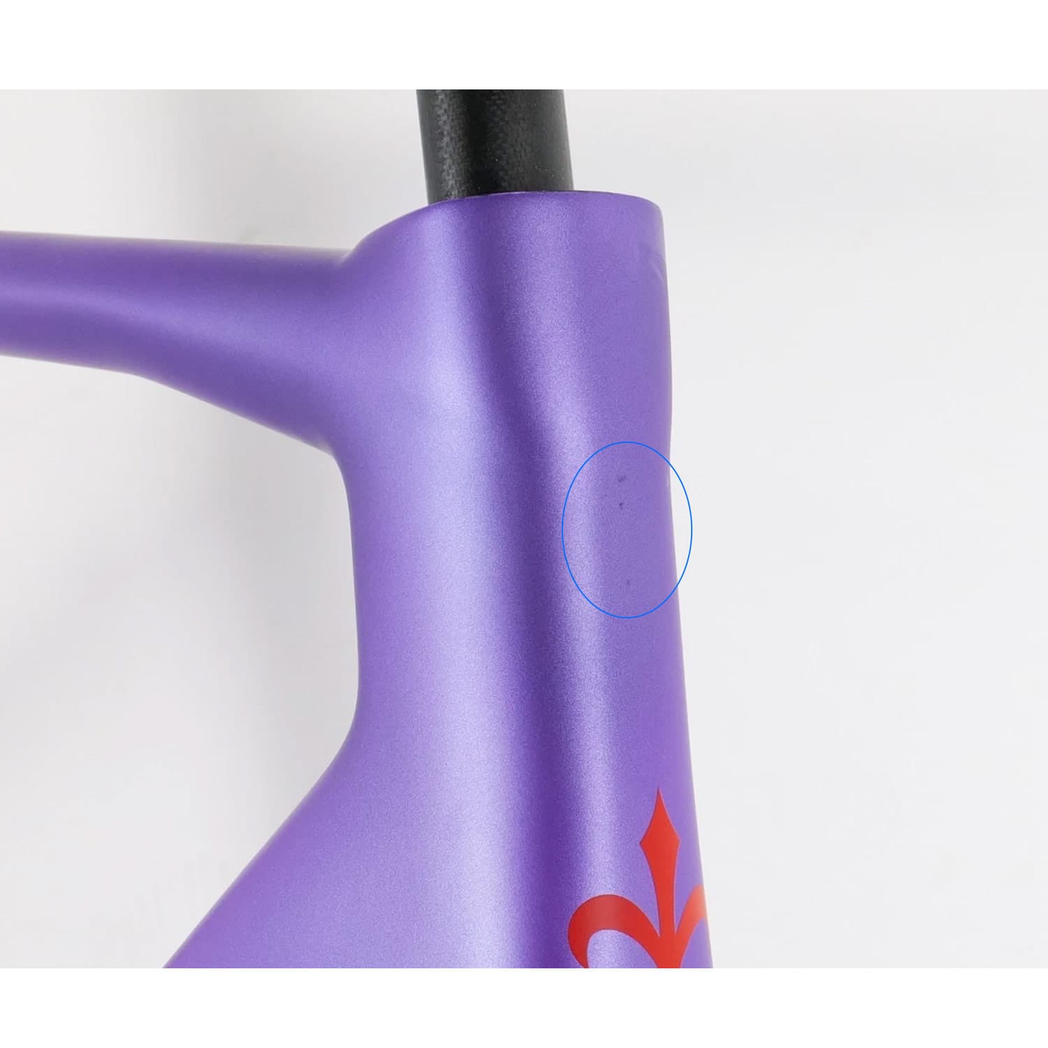 Rave Slr Purple Extra Large Ex Demo Frame thumbnail 3