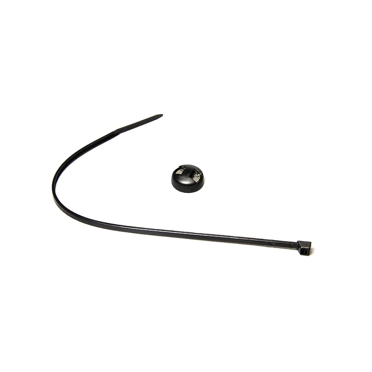 Cateye Cadence Magnet — product photo