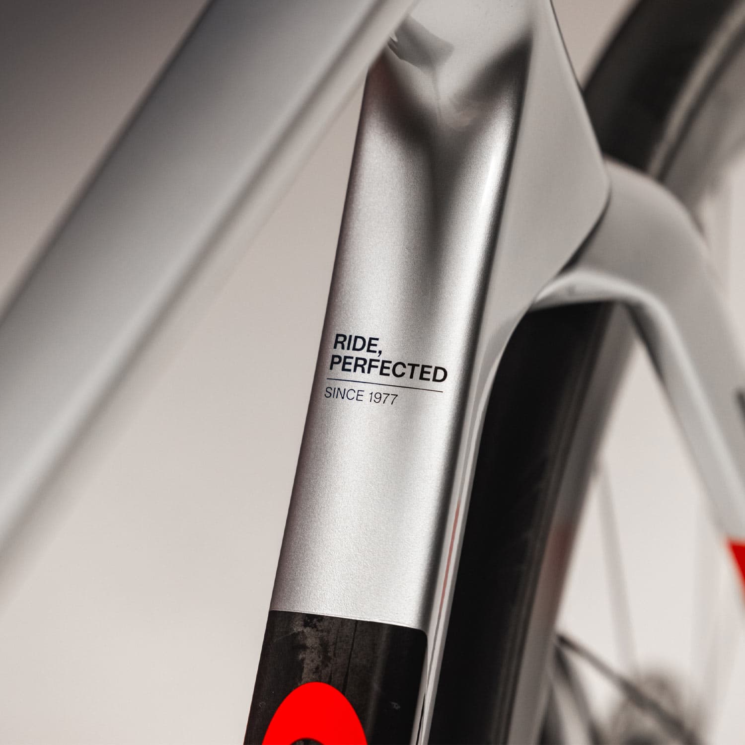 Sv Rosso Vivo thumbnail 4
