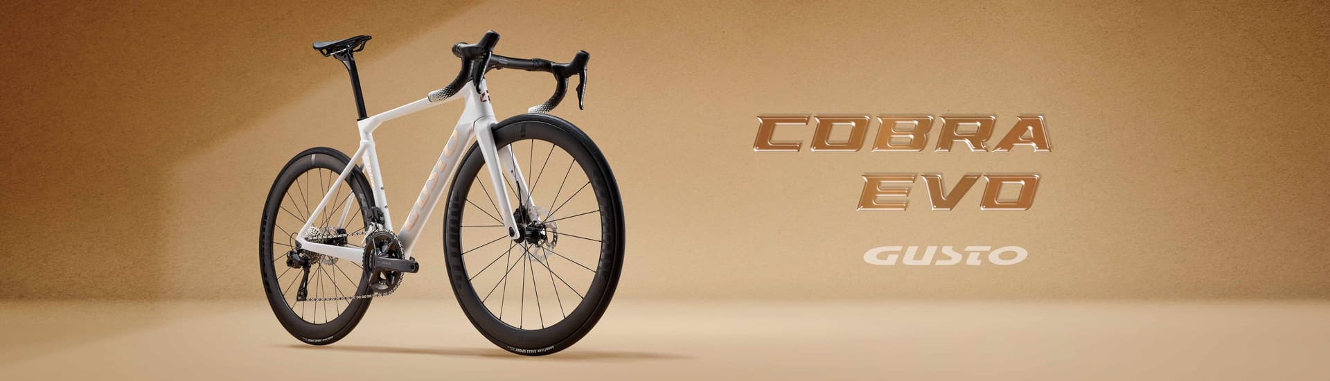 Gusto performance road bicycle